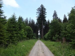 Azioni di sistema tra cammini e itinerari
